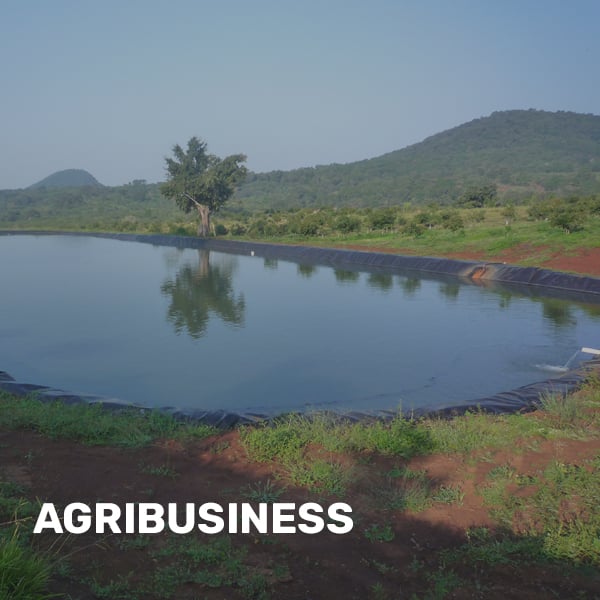 agribusiness-solution